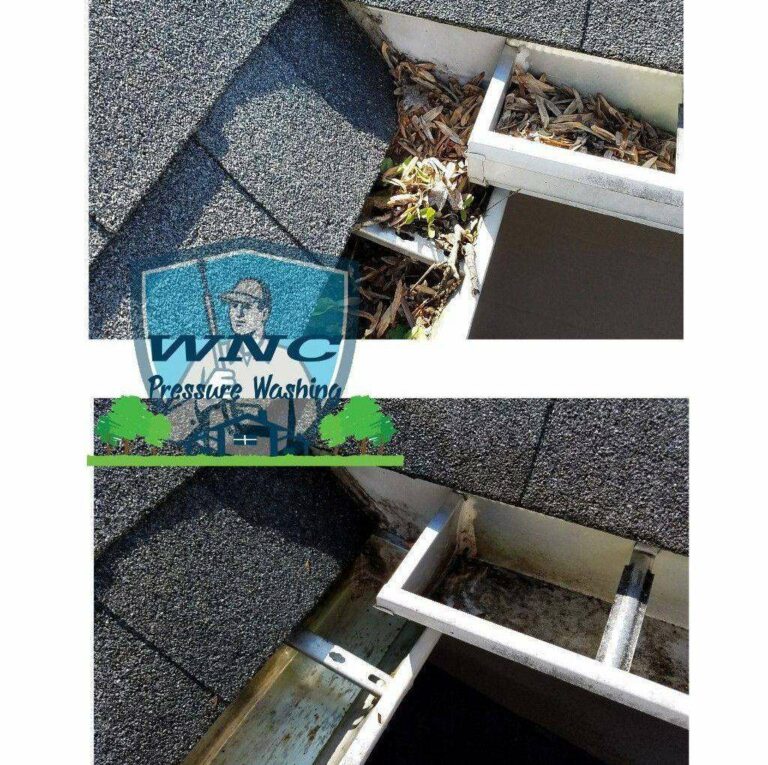 Gutter Cleaning 1