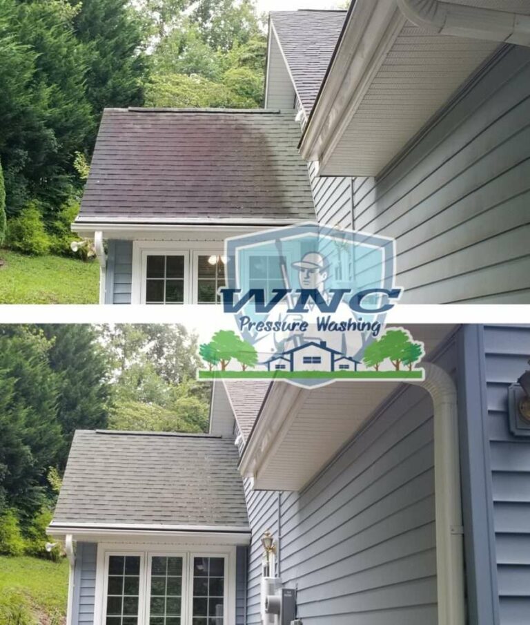 Roof Soft Washing